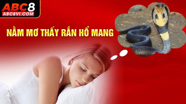 mơ thấy rắn