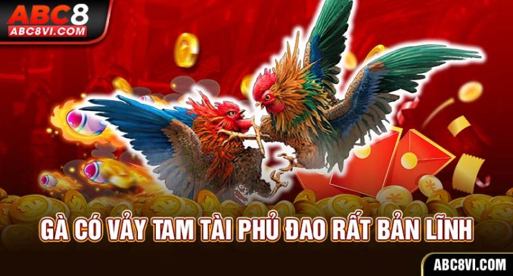 78 vảy gà tốt nên chọi