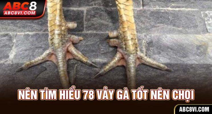 78 vảy gà tốt nên chọi