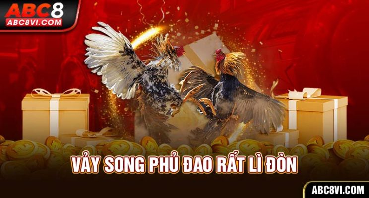 78 vảy gà tốt nên chọi